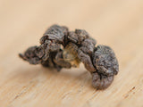 GABA Agricultural, A, 2025