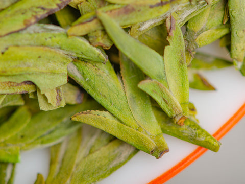 Wu Nu Zao Lun Jing, AAA, wiosna 2025 r.