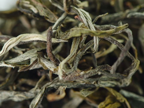 Zao Chun Mao Feng AA, Yunnan, wiosna 2024 r.