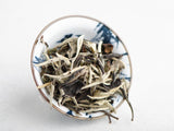 Yue Guan Bai (White Moonlight), AA, spring 2025
