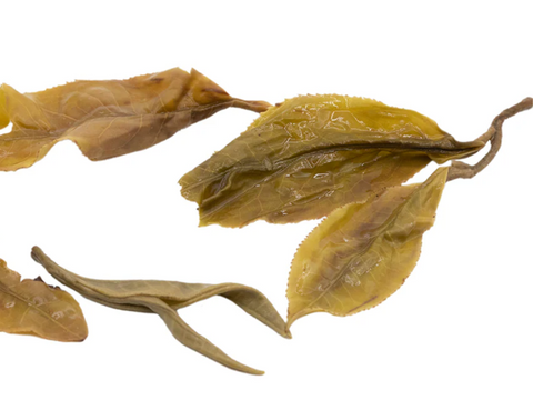 Sheng Pu Erh Vietnamese from ancient tea trees