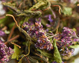 Ałtajska kolekcja ziół "Kwiatowe marzenie"