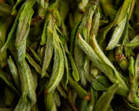 Хуан Шань Мао Фэн, ААА, 2024.