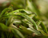 Хуан Шань Мао Фэн, ААА, 2024.