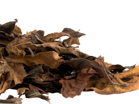 Exclusive Dutch White Tea, ААА, 2021