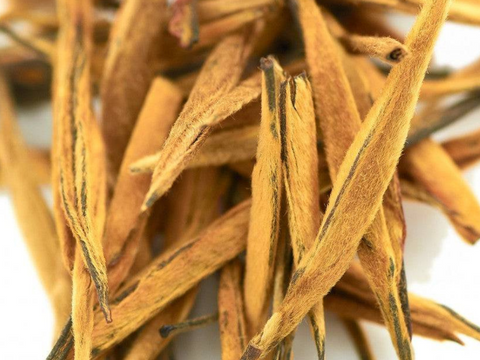 Dian Hong Da Jin Zhen Wang, AAA, 2025