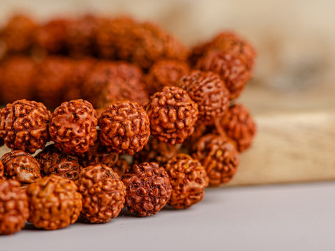 Różaniec #147, nasiona drzewa Rudraksha, 108 koralików, 6 mm.