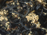 Czerwony Tie Guan Yin z pigwą, AA, 2025