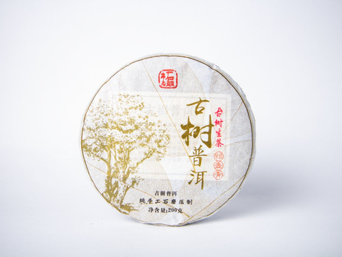 Sheng Pu Erh Gu Shu Pu Erh, fabryka Lao Shi Tou, AA, 2023