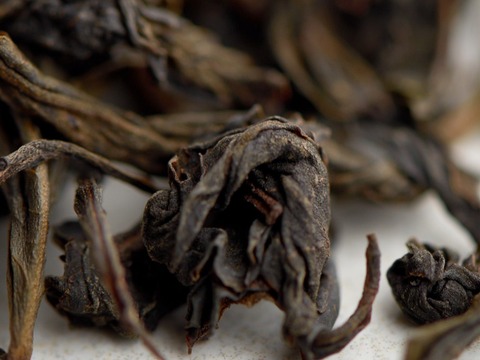 Ye Sheng Dan Cong Gao Ho (Dzikie samotne krzaki silnego ognia), A, 2025