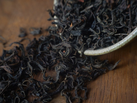 Red tea Charlotte, Georgia, A, 2025