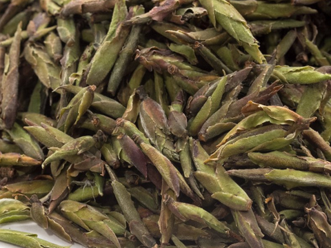 Ye Sheng Ya Bao (Pąki Pu Erh), 2025