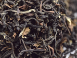 Darjeeling Namring, A, 2025