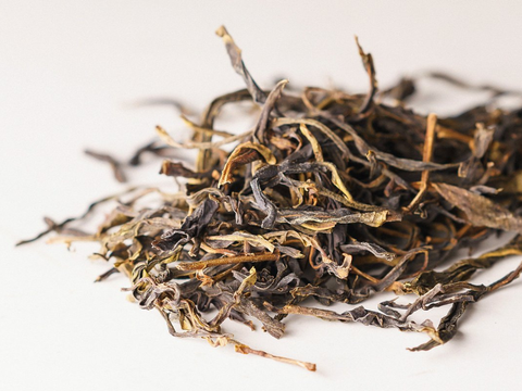 Sheng Pu Erh Ye Sheng Gu Shu, Ailaoshan, AAA, 2026