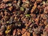 GABA Oolong Tropiki, AA, 2026