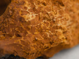 Chaga, Bajkał