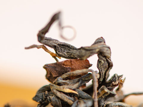 Sheng Pu Erh Mao Cha Zhang Xiang (Camphor Aroma), Bano Cha Shan, AA, 2016.