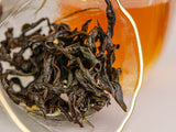 Jin Hong Pao, AAA, 2025