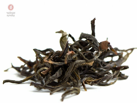 Ye Sheng Dan Cong Qing Ho (dzikie, samotne krzaki o niskim cieple), AA